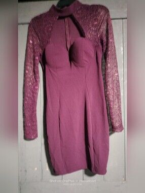 Entry Plum Long Sleeve Lace Yoke Bodycon Dress